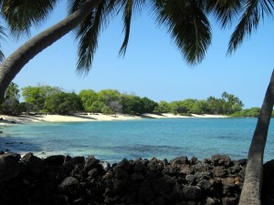 beach-ocean-palmtrees